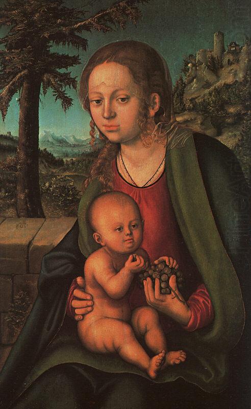 Lucas  Cranach The Madonna with the Bunch of Grapes china oil painting image